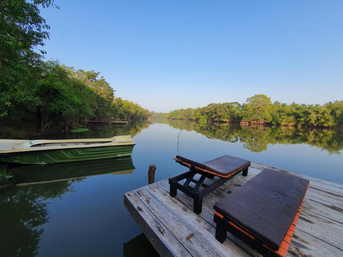 The Backwaters Lodge Wilpattu Buitenkant foto