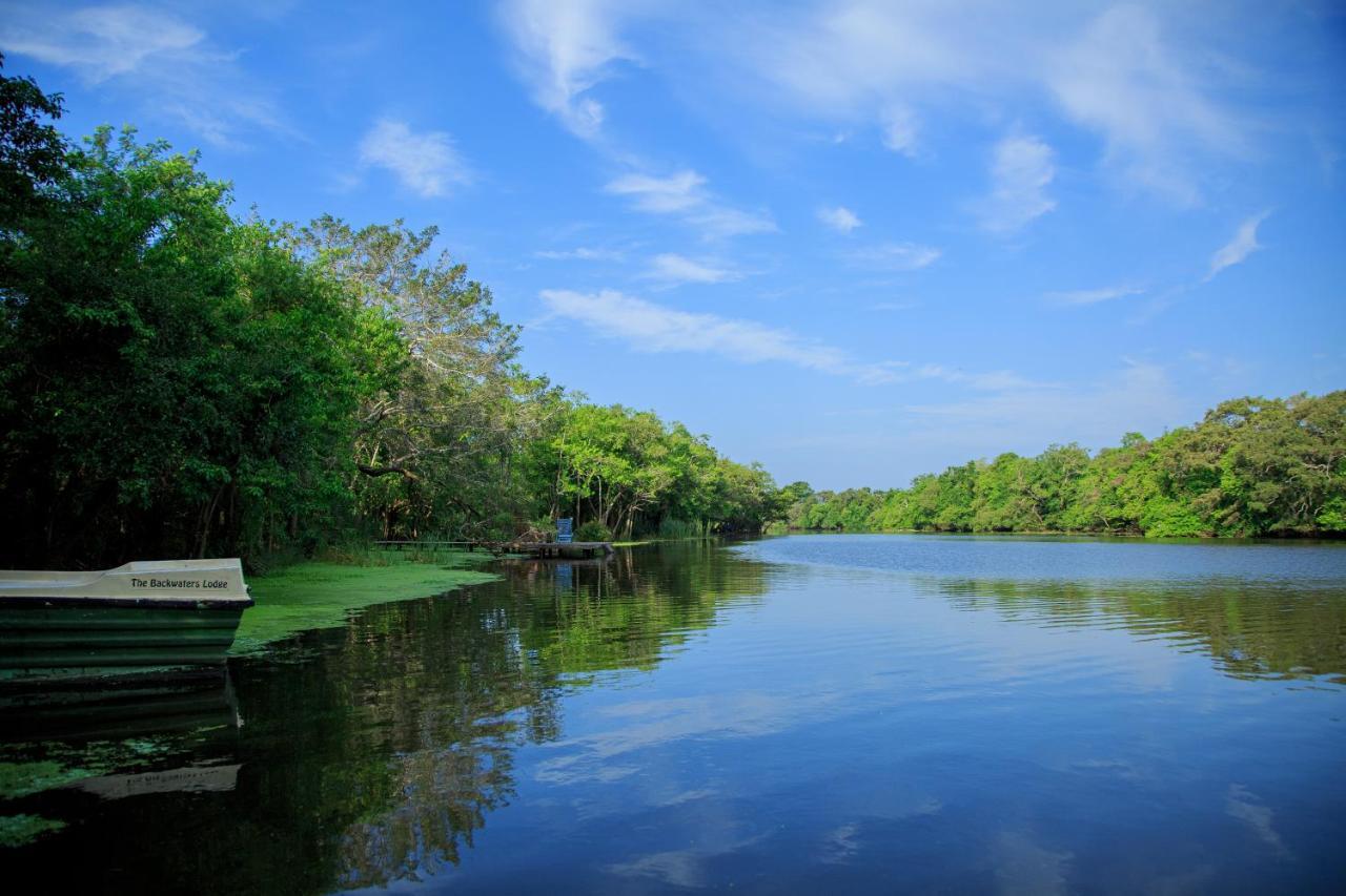 The Backwaters Lodge Wilpattu Buitenkant foto