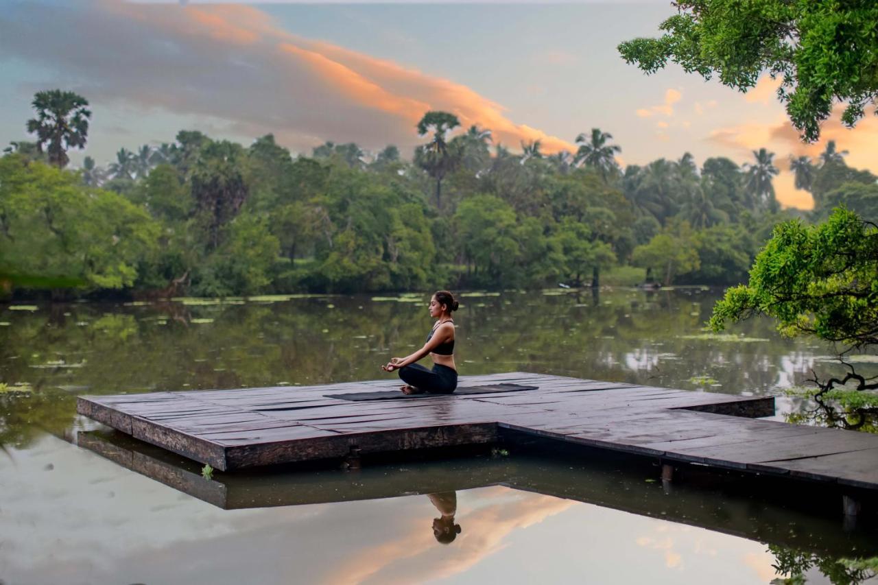 The Backwaters Lodge Wilpattu Buitenkant foto