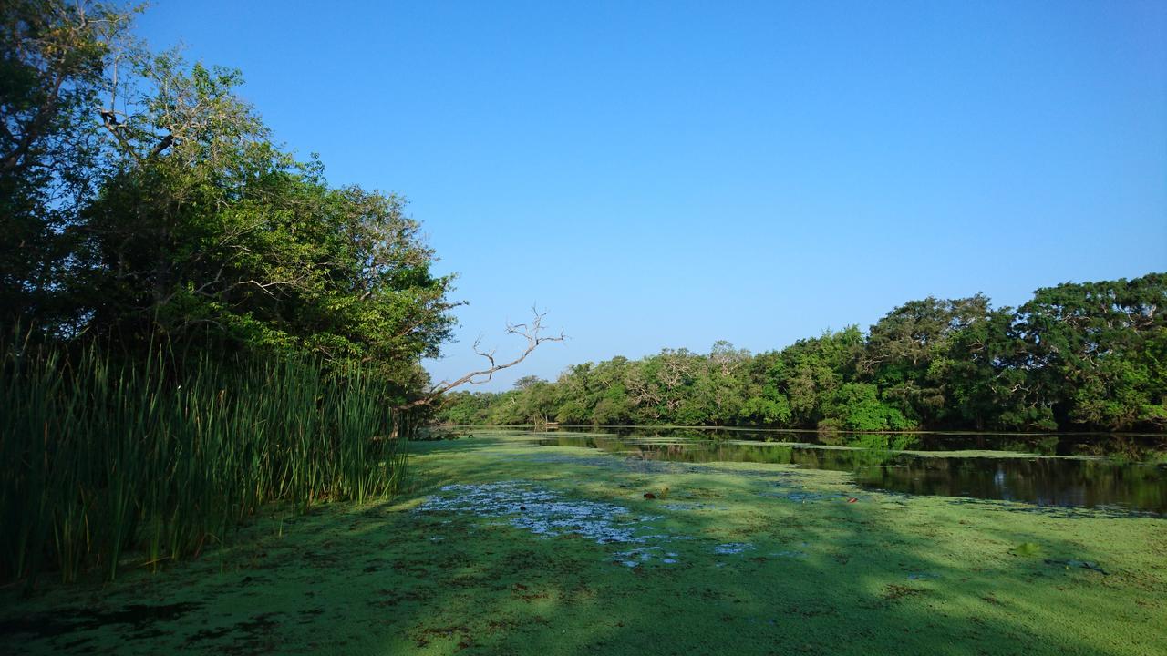 The Backwaters Lodge Wilpattu Buitenkant foto