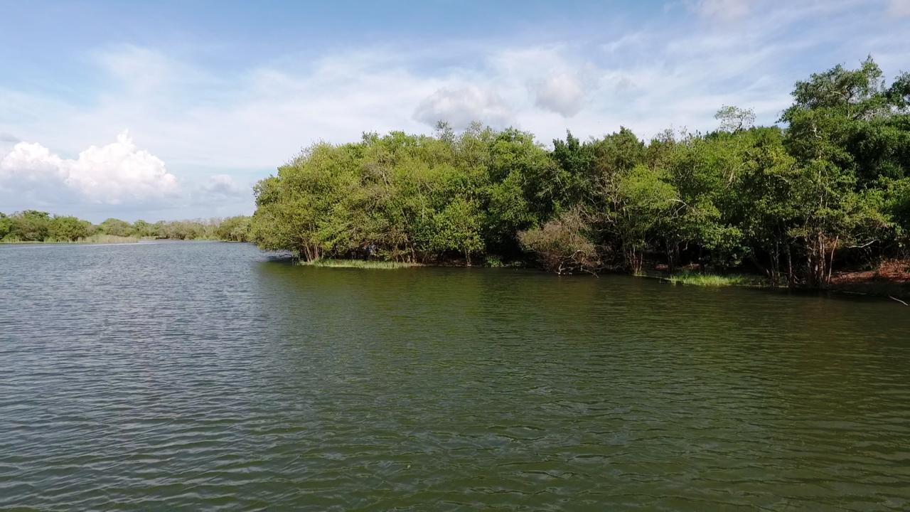 The Backwaters Lodge Wilpattu Buitenkant foto