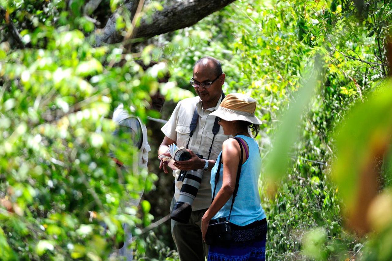 The Backwaters Lodge Wilpattu Buitenkant foto