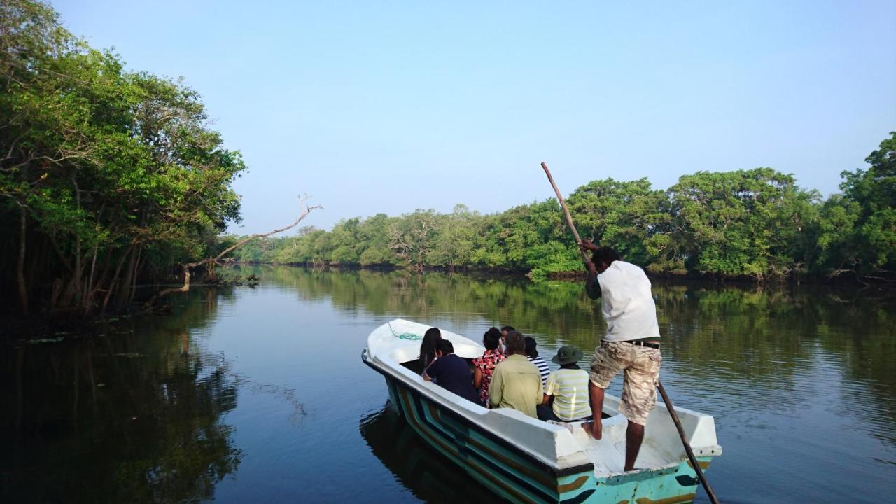 The Backwaters Lodge Wilpattu Buitenkant foto