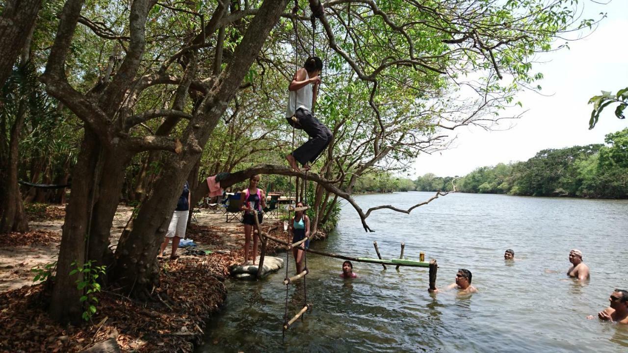 The Backwaters Lodge Wilpattu Buitenkant foto